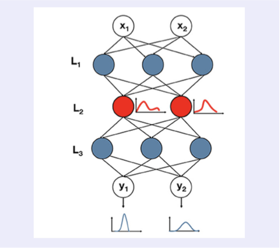 Lowering the computational barrier: Partially Bayesian neural networks for transparency in medical imaging AI